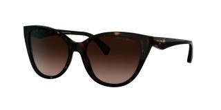Óculos de sol Emporio Armani 0EA4162