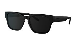 Óculos de sol Arnette TYPE Z 0AN4294