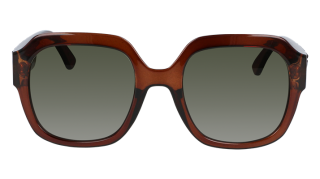 Óculos de sol Lonchamp LO690S Castanho Quadrada - 2
