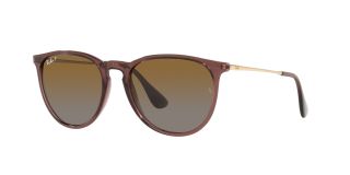 Óculos de sol Ray Ban 0RB4171 ERIKA Castanho Redonda - 1