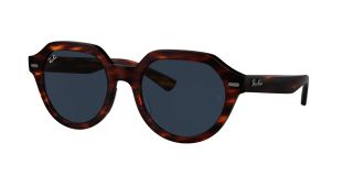 Óculos de sol Ray Ban GINA 0RB4399 Castanho Tamanho: 53X21