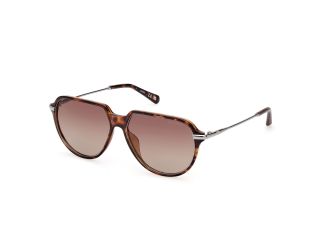 Óculos de sol Guess GU00067 Castanho Aviador - 1