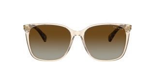 Óculos de sol Ralph Lauren 0RA5293 VVCV Castanho Quadrada - 2