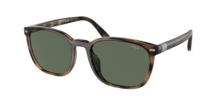 Óculos de sol Polo Ralph Lauren 0PH4208U Castanho Quadrada - 1