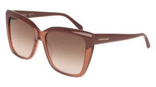 Óculos de sol SALVATORE FERRAGAMO SF1102S Transparente Retangular - 1