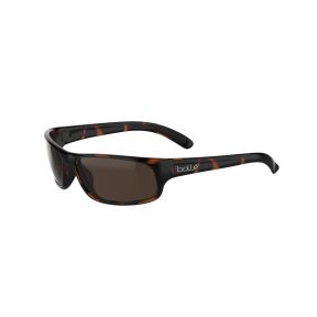 Óculos de sol Bollé BS027009 ANACONDA Castanho Retangular
