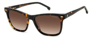 Óculos de sol Carrera CARRERA 3001/S Castanho Quadrada - 1
