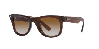 Óculos de sol Ray Ban 0RBR0502S WAYFARER REVERSE Castanho Quadrada - 1