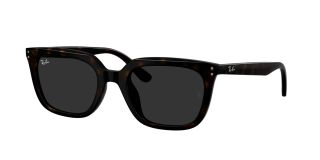 Óculos de sol Ray Ban 0RB4439D Castanho Quadrada - 1