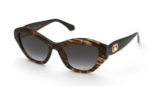 Óculos de sol Twinset STW068 Castanho Borboleta
