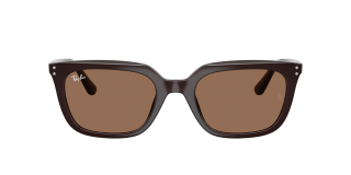 Óculos de sol Ray Ban 0RB4439D Castanho Quadrada - 2
