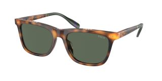 Óculos de sol Polo Ralph Lauren 0PH4205U Castanho Quadrada - 1