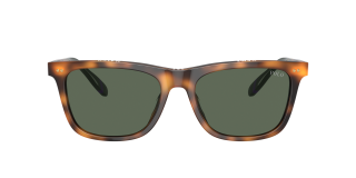 Óculos de sol Polo Ralph Lauren 0PH4205U Castanho Quadrada - 2
