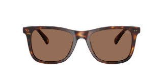 Óculos de sol Polo Ralph Lauren 0PH4220U Castanho Quadrada - 2