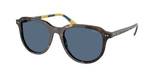 Óculos de sol Polo Ralph Lauren 0PH4225 Castanho Tamanho: 53X18