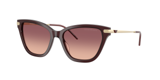 Óculos de sol Emporio Armani 0EA4251 Grená Tamanho: 54X17