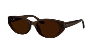 Óculos de sol Ray Ban 0RB4457D Castanho Retangular - 1