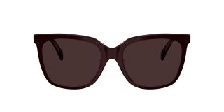 Óculos de sol Ralph Lauren 0RA5343U Grená Quadrada - 2