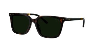 Óculos de sol Polo Ralph Lauren 0PH4235U Castanho Quadrada - 1