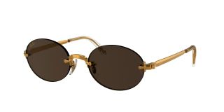 Óculos de sol Ray Ban 0RB3929 Castanho Ovalada - 1