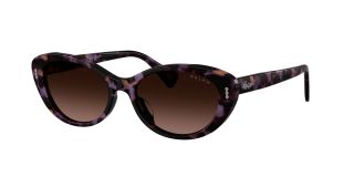 Óculos de sol Ralph Lauren 0RA5350U Castanho Ovalada - 1