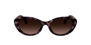 Óculos de sol Ralph Lauren 0RA5350U Castanho Ovalada - 2