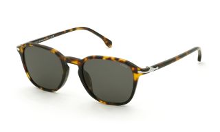 Óculos de sol Lozza SL4431 Amarelo Redonda