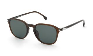 Óculos de sol Lozza SL4431 Castanho Redonda