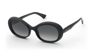 Óculos de sol Nina Ricci SNR459 Castanho Ovalada