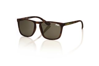Óculos de sol Superdry 996059 SHOCKWAVE Castanho Quadrada