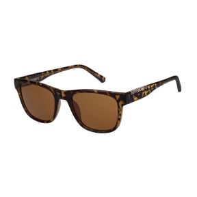 Óculos de sol Superdry SDS-5055 996103 Castanho Tamanho: 53X20