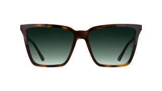 Óculos de sol Calvin Klein CK26506S Castanho Borboleta - 2