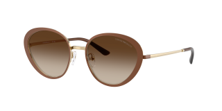 Óculos de sol Emporio Armani 0EA2177 Castanho Quadrada - 1