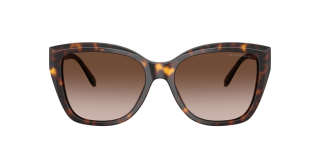 Óculos de sol Emporio Armani 0EA4198 Castanho Borboleta - 2