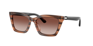 Óculos de sol Emporio Armani 0EA4250U Castanho Borboleta - 1