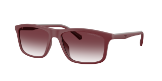 Óculos de sol Emporio Armani 0EA4257U Grená Quadrada - 1