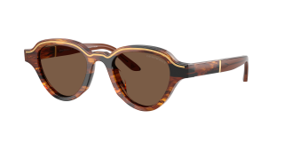 Óculos de sol Emporio Armani 0EA4264U Castanho Quadrada - 1