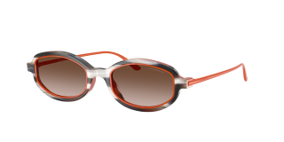 Óculos de sol Emporio Armani 0EA4276U Beige Quadrada - 1