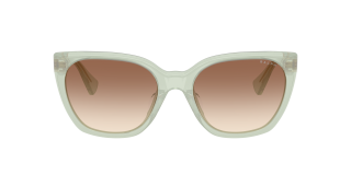 Óculos de sol Ralph Lauren 0RA5330U Verde Borboleta - 2