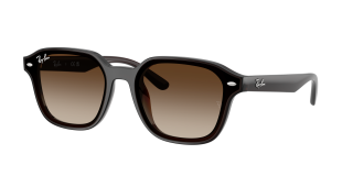 Óculos de sol Ray Ban 0RB4458D Castanho Quadrada - 1