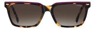 Óculos de sol Carrera CARRERA 3056/S CA Castanho Retangular - 2
