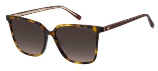 Óculos de sol Tommy Hilfiger TH 2292/S TH Castanho Borboleta - 1