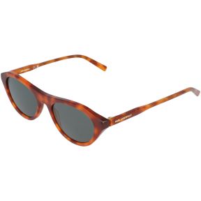 Óculos de sol Karl Lagerfeld KL6246S Castanho Tamanho: 52X19