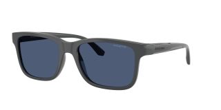 Óculos de sol Arnette 0AN4378 Cinzento Quadrada - 1