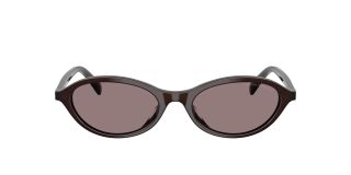 Óculos de sol Emporio Armani 0EA4281U Castanho Ovalada - 2