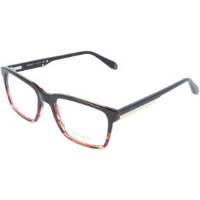 Óculos graduados Hackett London HEK1435 Castanho Tamanho: 53X18