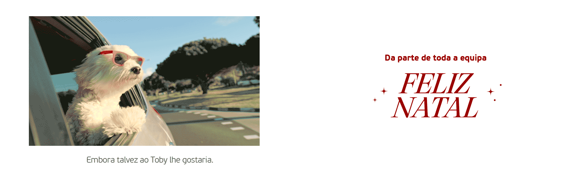 embora talvez ao Toby lhe gostaria