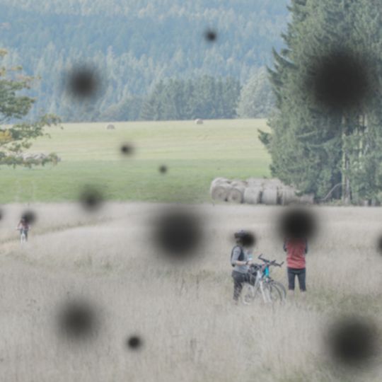 simulação de como veria alguém com retinopatia diabética