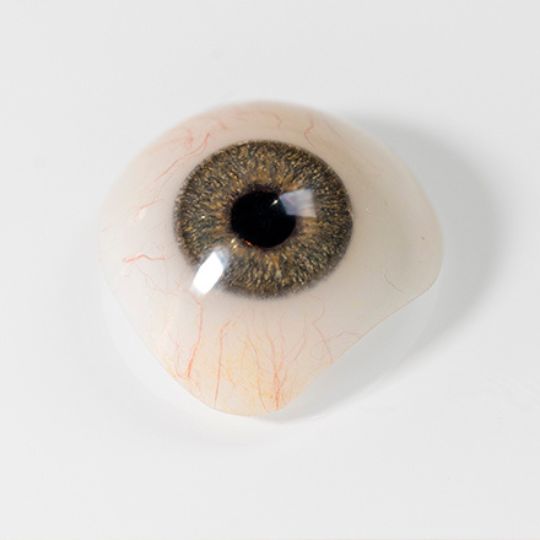 Imagem de uma prótese ocular sobre uma superfície lisa